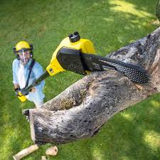 Best Lawn Irrigation Installation and Maintenance  in Yuc Valley, CA